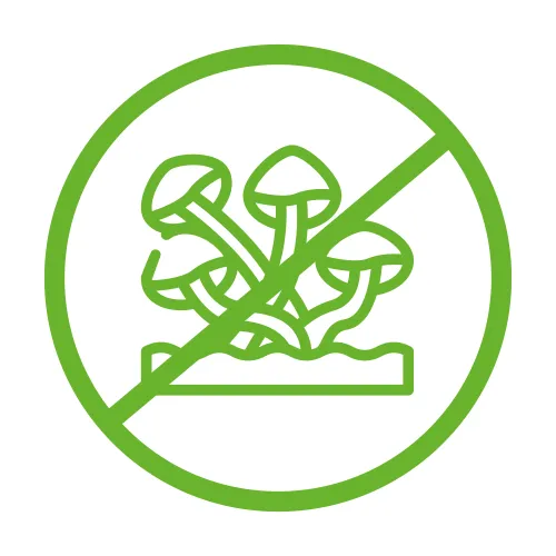 traitement mérule aude issaly