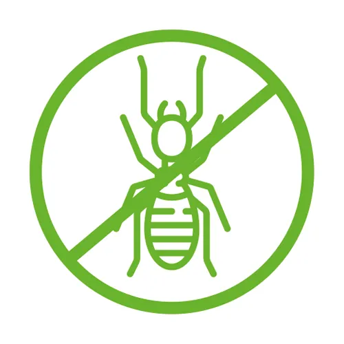 traitement termites aude issaly