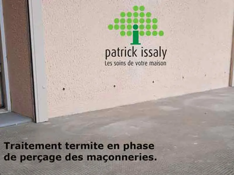 Traitement termites à NARBONNE - ISSALY intervient sur le département de l'Aude à Castelnaudary, Carcasonne...